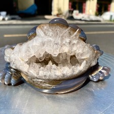 2.5LB Natural Amethyst agate geode quartz crystal Hand carved Golden Toad picture