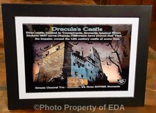 DRACULA'S CASTLE Bran Castle Relic Gravel Soil Sample w/COA Haunted Item Object picture