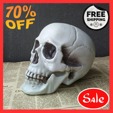 Halloween Skull Decoration,Realistic Plastic Skull,Head Skeleton,Halloween Party picture