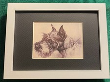 Schnauzer MATTED | FRAMED | READY TO GIFT - 1986 Vintage Dog Art Print W picture