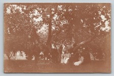 Vintage RPPC Large Group Family Portrait Under Trees Orchard Garden Sepia picture