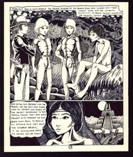 RARE Early 1980s DRAGONRING Pg.19 GROUP SHOT Original Comic Art by BARRY BLAIR picture
