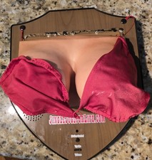 Jingle Jugs “The Trophy Rack” Sings & Moves Plaque Breast Cancer Aware Damaged  picture