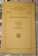New Citrus Hybrids - 1931 - USDA - Swingle - Robinson - Savage + ERRATA picture