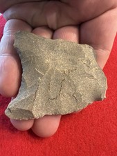 Arrowheads,paleo Base,dalton,haw River. 2&5/16in. H.Allen Collection NC picture