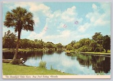 Postcard THE BEAUTIFUL COTEE RIVER IN THE HEART OF NEW PORT RICHEY, FLORIDA picture