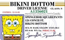Funny SpongeBob Squarepants Boat License NEW picture