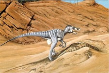 Dinosaur Art VELOCIRAPTOR MONGOLIENSIS Paleo Artist Brian Franczak 4X6 Postcard picture