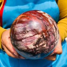 5.06LB Natural wood fossil ball healing comes Healing from Madagascar picture