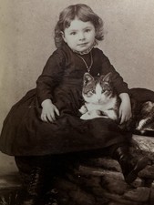 Gorgous 1870s1880s Image Little Girl And Her Cat Adorable Cabinet Card picture