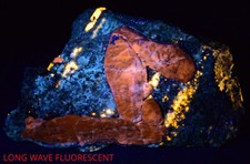 760 Gram Unique Fluorescent Afghanite Crystal W/ Wernerite Scapolite On Matrix picture