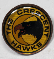 Battletech - The Crescent Hawks -  Super Rare Enamel Lapel Backpack Hat Pin picture