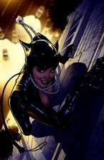 Catwoman: The Long Road Home picture