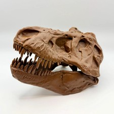 T-Rex Skull Replica AMNH 5027 Dinosaur Fossil 3D Printed Home Office Decor picture