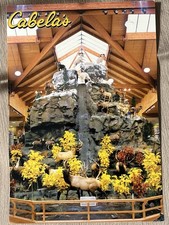 Postcard Cabela's Conservation Mountain Dundee Michigan USA picture