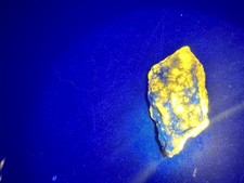 Natural Wernerite (Scapolite) mineral rock Bright Yellow All Waves Canada Z4 picture