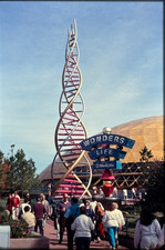  Wonders of Life Pavilion EPCOT Walt Disney World Original 35mm Film Slide picture