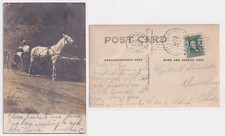 Woman with Horse Buggy Marietta OH Real Photo Postcard 1907 Will Stanton RPPC picture