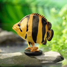 Animal Heavenly Body Siamese Tiger Fish Statue Datnioides pulcher picture