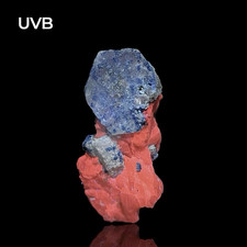 50 Gr. Amazing Fluorescent Afghanite combined Lazurite Crystal On Calcite Matrix picture