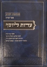 עדות ליוסף Eidus LeYosef Hebrew Sefer Rare Torah Material Hutner Feinstein picture
