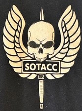 SOTACC Special Operations Terminal Attack Controller Course PT shirt Original picture