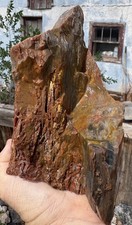 ☘️RR⛏️: Top Quality Druzy Arizona Rainbow Petrified Wood 4 Lb 🌈 picture