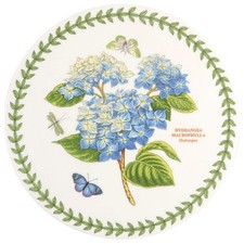 Portmeirion Botanic Garden Hydrangea 8