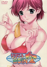 Resort BOIN Windows 98 Me 2000 XP PC DVD-ROM Japan Visual Novel Rare Retro Game picture