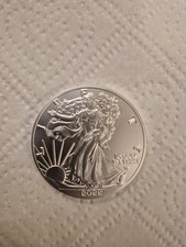 2022 Walking Liberty/Eagle Coin.  Silver Plated Rounds. picture