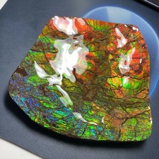 Authentic Canadian Ammolite Ammonite Freeform 136X122X33 MM 745 Grams #3010-61 picture