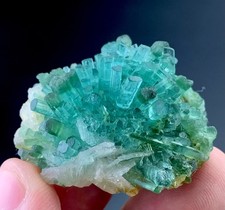 96 Carat Bunch Of Paraiba Tourmaline Crystal specimen from Afghanistan picture