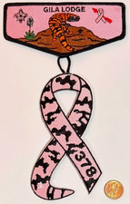 BSA GILA OA 378 78 66 YUCCA 2025 BUG SCUFFLE BREAST CANCER AWARENESS 2-PATCH SET picture