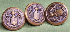 Antique French Armorial Button Set Knight Helmet Shield Wire Shank Livery 3pc picture
