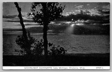 Vintage 1938 Moonlight Silhouette Lake Michigan Onekama Postcard picture