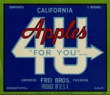 4 U Brand - Apple Crate Label - Sebastopol California - California Apples picture