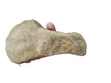 Paleo American Indian Abstract Rock Art Artifact Indian Demon Effigy Tool picture