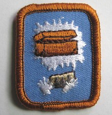 Girl Scout Cadette Sen EXPLORING HISTORY PRESERVATION IP BADGE Council Own Patch picture