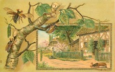 Bugs Crawling Flying Golden Embossed Postcard Antique 1907 Beautiful Card  N picture