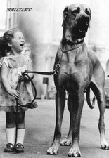 ODD, STRANGE, FUNNY/1960's CUTE GIRL & BEAUTIFUL GREAT DANE/4x6 B&W Reprint picture