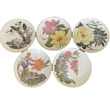 Vtg Sierra Club Flowers Of The American Wilderness Franklin Porcelain 5 Plates picture