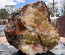 ☘️RR⛏️: Top Quality Agate/Opal Replaced Arizona Petrified Wood 2 Lb 5 Oz. 🌈 picture