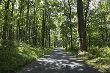 Morristown New Jersey Jockey Hollow Road 2017 National Historical Park picture