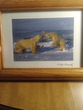 Tom Soucek Print Picture Polar Bears Fighting 8 1/2