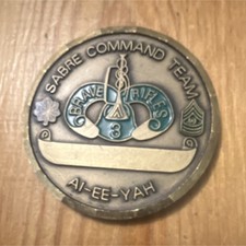 Sabre Command Team Brave Rifles Sabre Squadron Military Challenge Coin picture