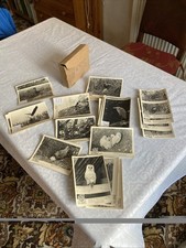 Vintage Daily Mail School-Aid x 86 Bird Photos  Cards 11x16cm by Eric Hoskings picture