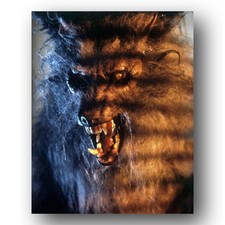 The Howling Monster Photo 8x10 Joe Dante Film Set 1981 Werewolf Horror Californi picture