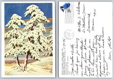 Kawase Hasui PINES CLEARING AFTER SNOW Woodblock Print Postcard 1935 picture