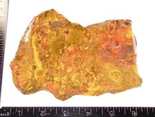 Beautiful Kaleidoscope Jasper Slab - 273g - Old Collection / Old Material 1970's picture