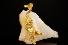 Rare Locale Native Gold Crystal on Quartz Cashman's Mine Australia picture